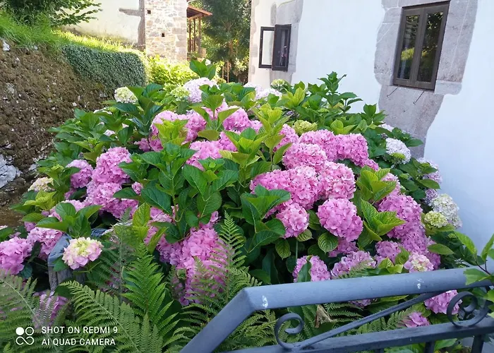 La Casona De Candamin photo