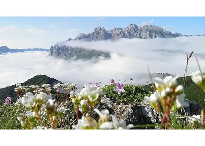 PrecendiAguas Del Sella - Jacuzziアパートメントの写真